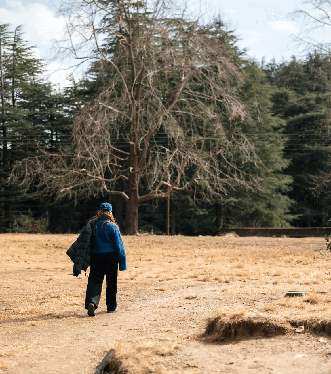 The Potter Hill Getaway